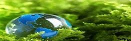 Environmental Management - Level 1 Award